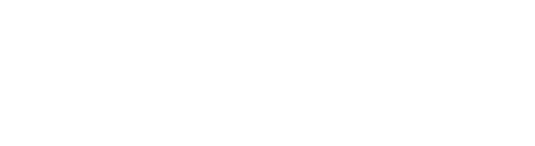 PepsiCo Logo